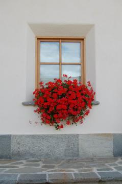 Chalet Monteneve zum Livigno - fenster